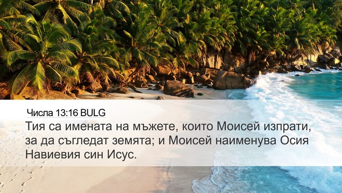 Числа 13:16 BULG Bible Verse Image