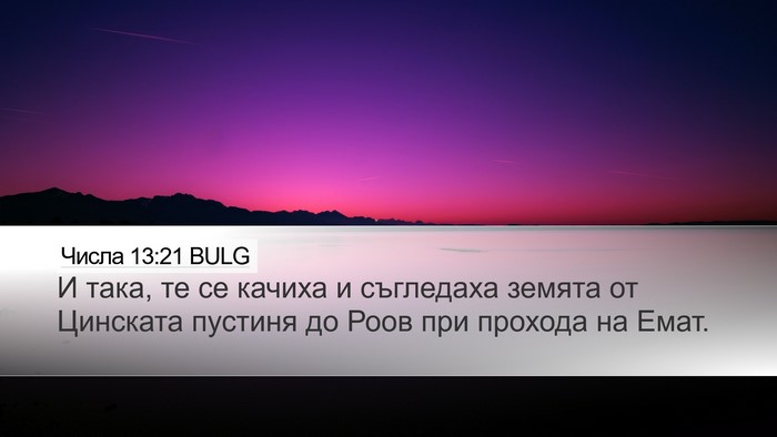 Числа 13:21 BULG Bible Verse Image