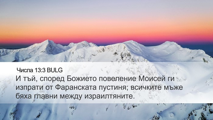 Числа 13:3 BULG Bible Verse Image