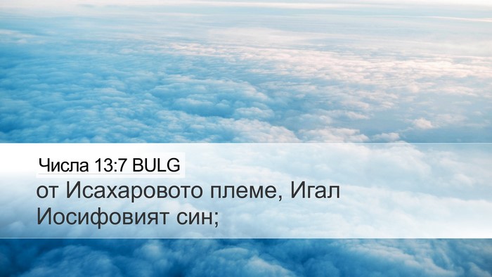 Числа 13:7 BULG Desktop Wallpaper - от Исахаровото племе, Игал - Desktop Bible Verse Wallpaper