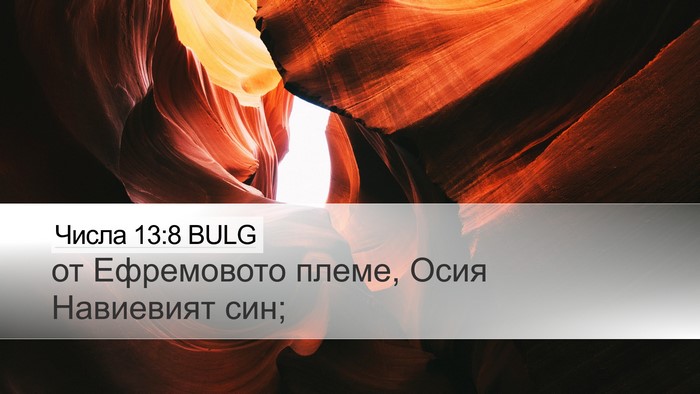 Числа 13:8 BULG Bible Verse Image