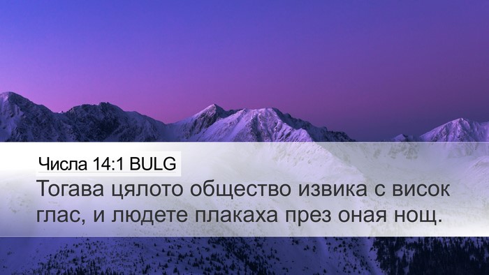 Числа 14:1 BULG Bible Verse Image