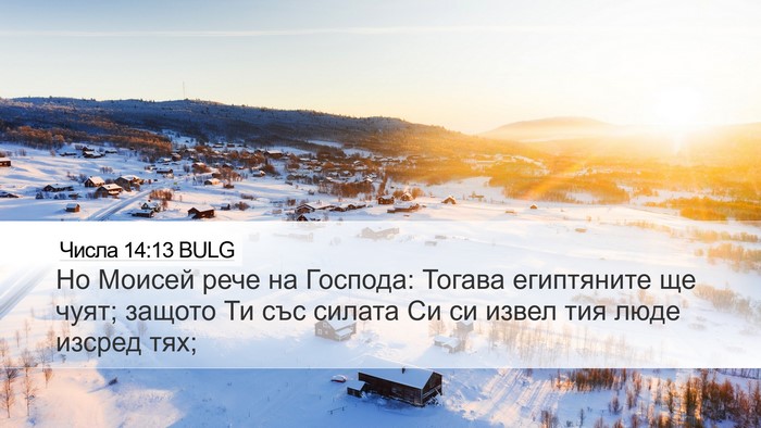 Числа 14:13 BULG Bible Verse Image