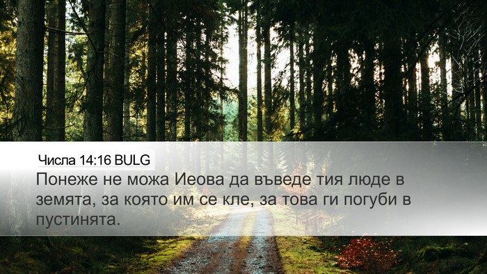 Числа 14:16 BULG Bible Verse Image
