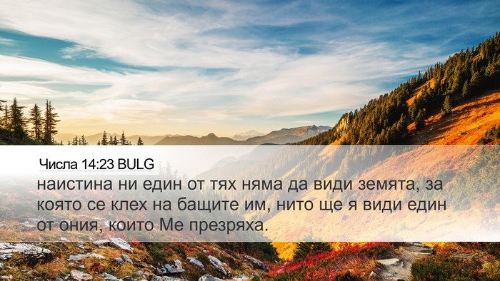 Числа 14:23 BULG Bible Verse Image