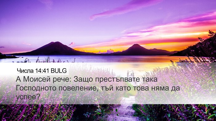 Числа 14:41 BULG Bible Verse Image