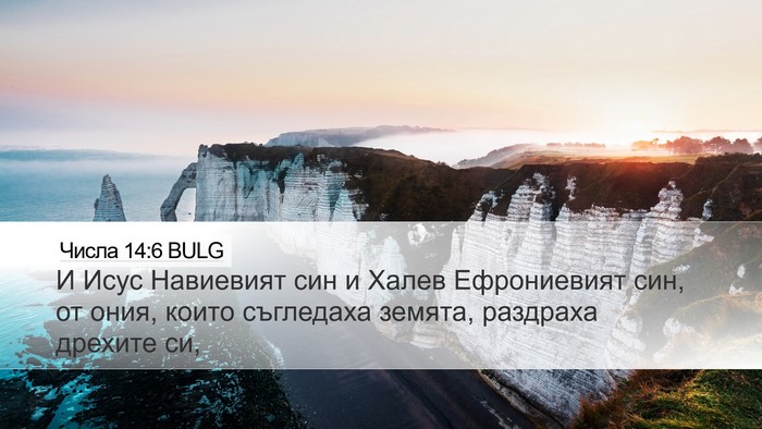 Числа 14:6 BULG Bible Verse Image