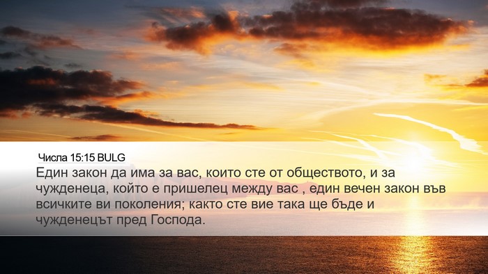 Числа 15:15 BULG Bible Verse Image