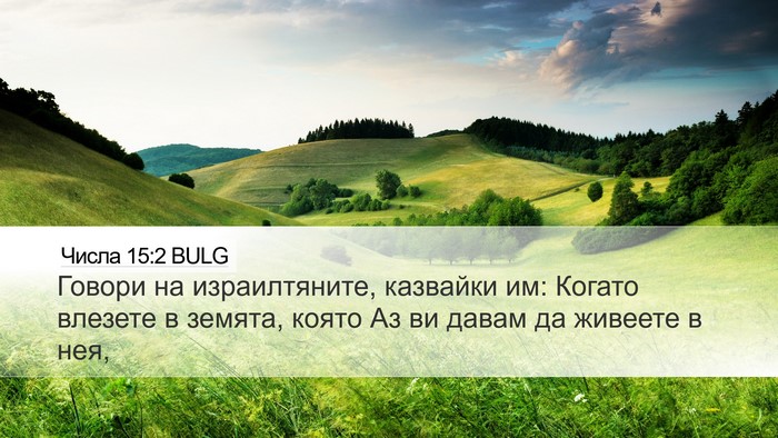 Числа 15:2 BULG Bible Verse Image