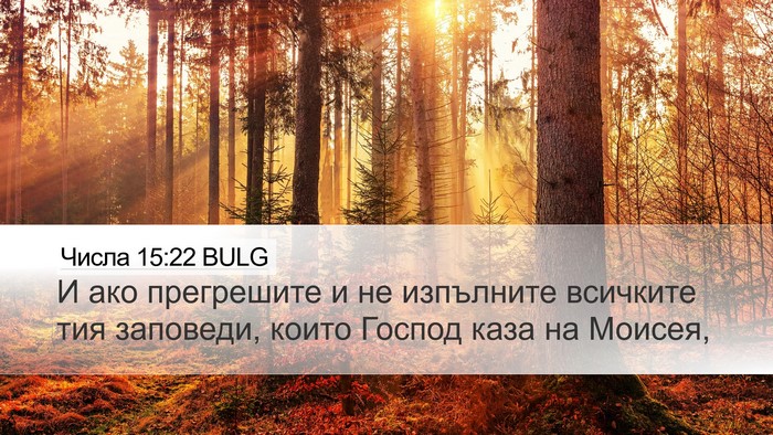 Числа 15:22 BULG Desktop Wallpaper - И ако прегрешите и не - Desktop Bible Verse Wallpaper