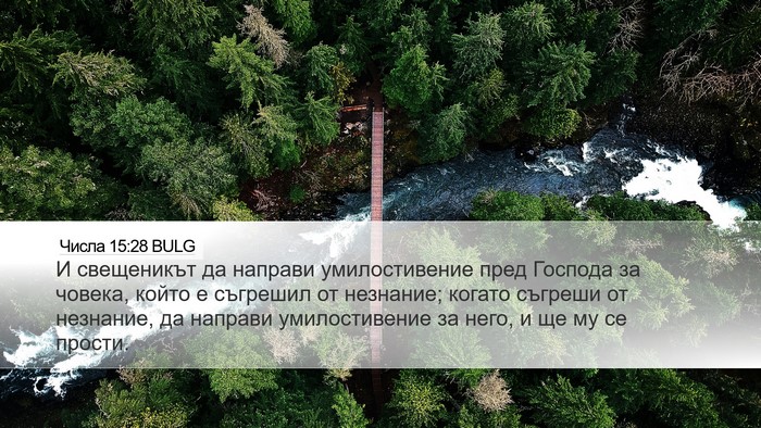 Числа 15:28 BULG Bible Verse Image