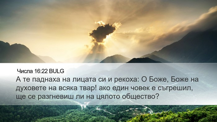 Числа 16:22 BULG Bible Verse Image