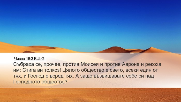 Числа 16:3 BULG Bible Verse Image