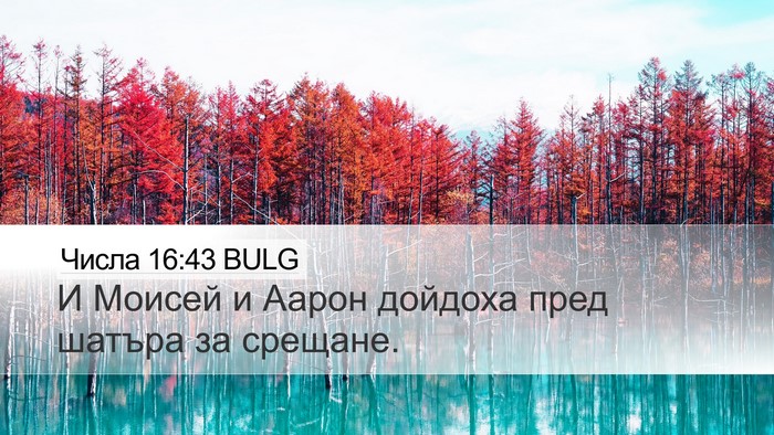 Числа 16:43 BULG Bible Verse Image