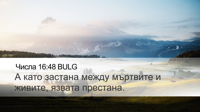 Числа 16:48 BULG Bible Verse Image