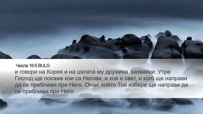Числа 16:5 BULG Bible Verse Image