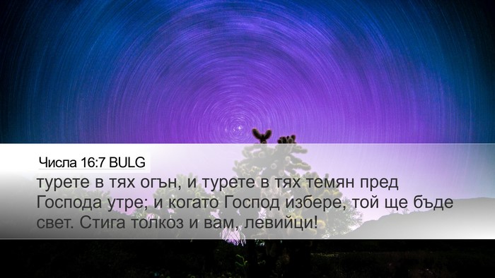 Числа 16:7 BULG Bible Verse Image