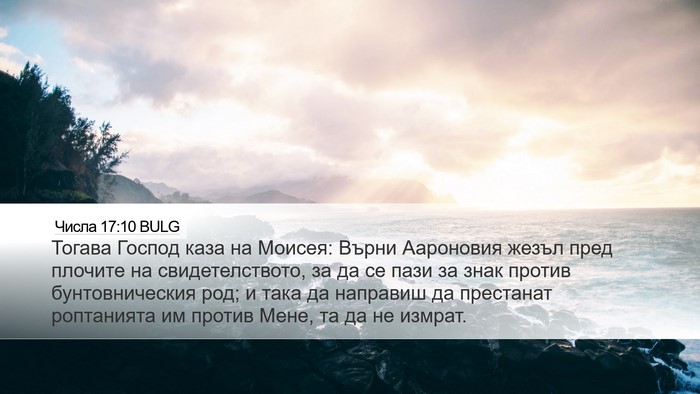 Числа 17:10 BULG Bible Verse Image