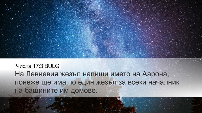 Числа 17:3 BULG Bible Verse Image
