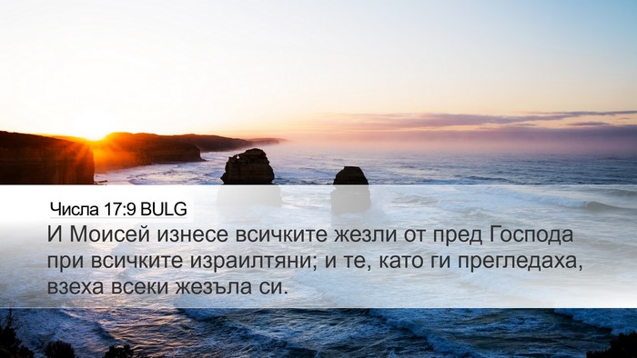 Числа 17:9 BULG Desktop Wallpaper - И Моисей изнесе всичките - Desktop Bible Verse Wallpaper