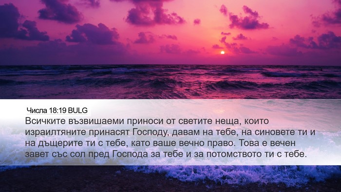 Числа 18:19 BULG Bible Verse Image