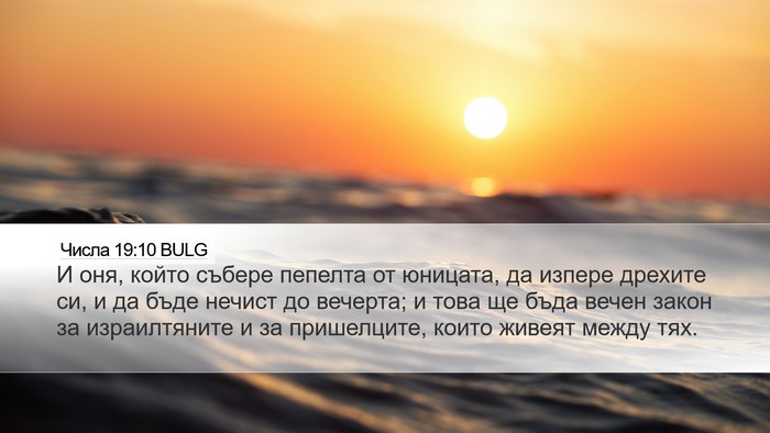 Числа 19:10 BULG Desktop Wallpaper - И оня, който събере пепелта - Desktop Bible Verse Wallpaper