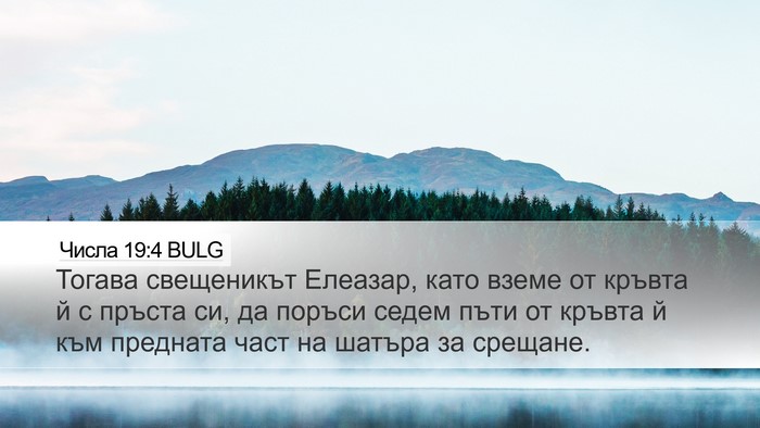 Числа 19:4 BULG Bible Verse Image