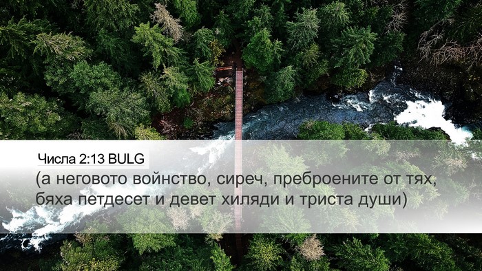 Числа 2:13 BULG Bible Verse Image