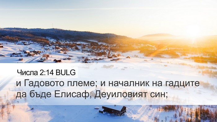 Числа 2:14 BULG Bible Verse Image