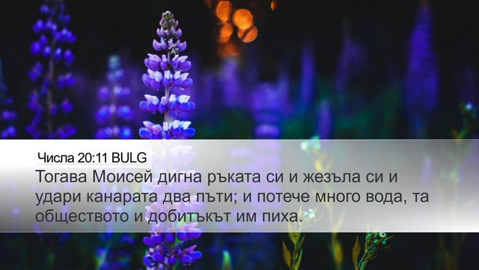 Числа 20:11 BULG Bible Verse Image