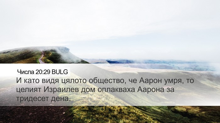 Числа 20:29 BULG Desktop Wallpaper - И като видя цялото - Desktop Bible Verse Wallpaper
