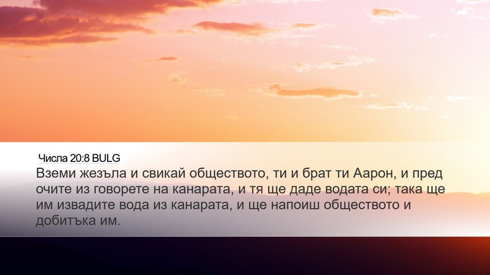Числа 20:8 BULG Bible Verse Image