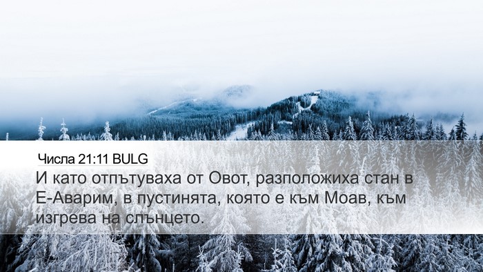 Числа 21:11 BULG Desktop Wallpaper - И като отпътуваха от Овот, - Desktop Bible Verse Wallpaper