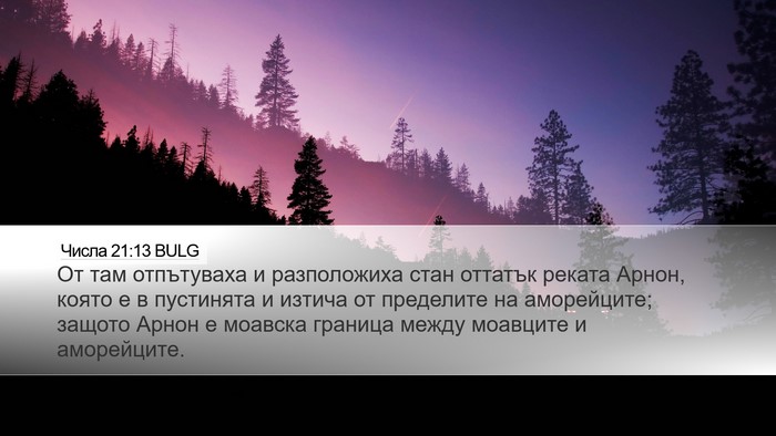 Числа 21:13 BULG Bible Verse Image