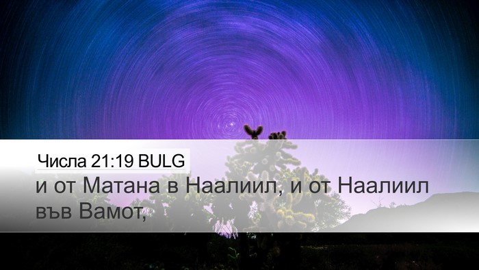 Числа 21:19 BULG Bible Verse Image