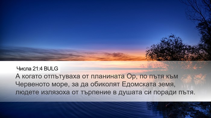 Числа 21:4 BULG Bible Verse Image