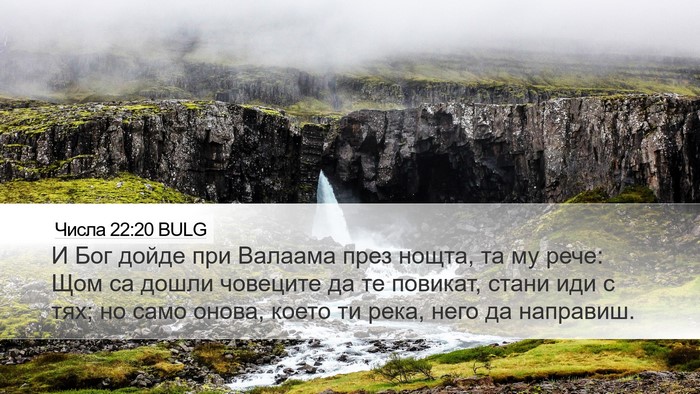 Числа 22:20 BULG Bible Verse Image