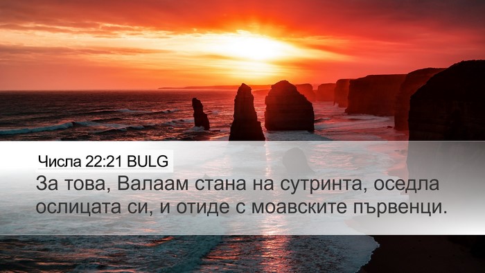 Числа 22:21 BULG Bible Verse Image