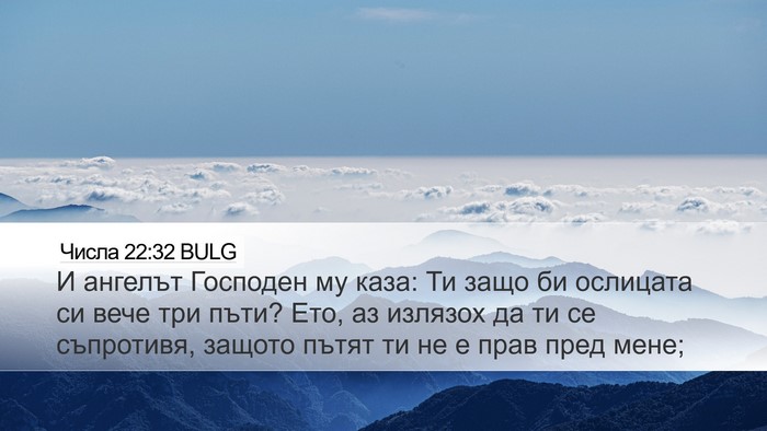 Числа 22:32 BULG Bible Verse Image