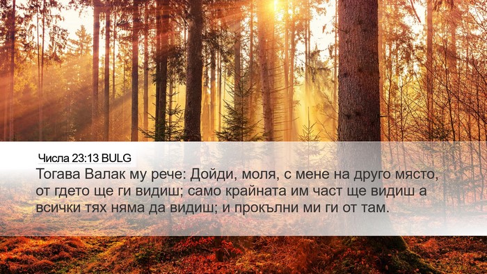 Числа 23:13 BULG Bible Verse Image