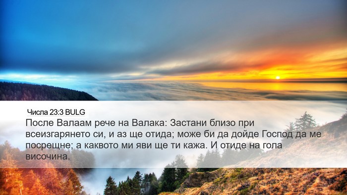 Числа 23:3 BULG Bible Verse Image