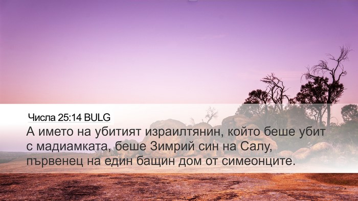 Числа 25:14 BULG Bible Verse Image