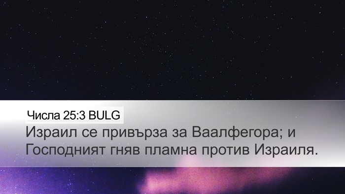 Числа 25:3 BULG Bible Verse Image