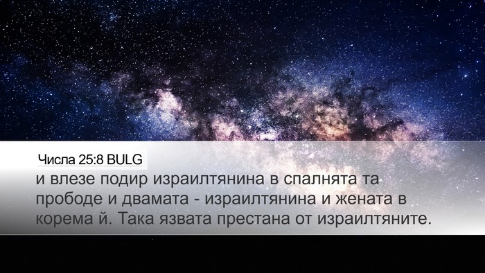 Числа 25:8 BULG Bible Verse Image