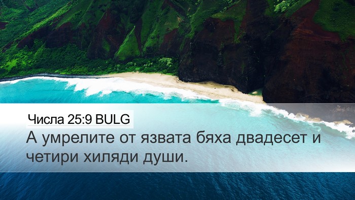 Числа 25:9 BULG Desktop Wallpaper - А умрелите от язвата бяха - Desktop Bible Verse Wallpaper