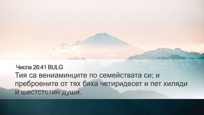 Числа 26:41 BULG Bible Verse Image