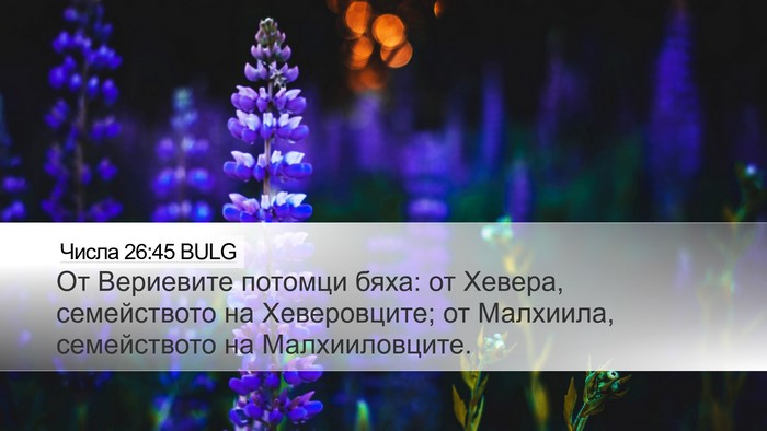 Числа 26:45 BULG Desktop Wallpaper - От Вериевите потомци бяха: - Desktop Bible Verse Wallpaper
