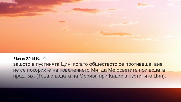 Числа 27:14 BULG Bible Verse Image