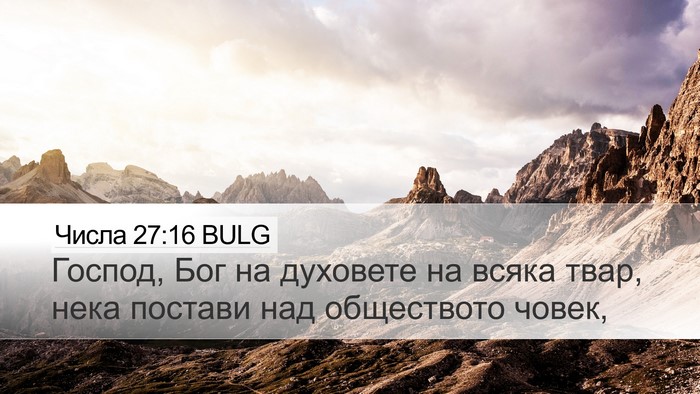 Числа 27:16 BULG Bible Verse Image