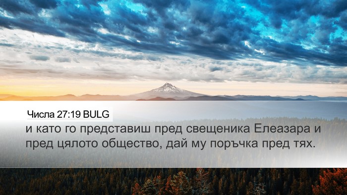 Числа 27:19 BULG Bible Verse Image